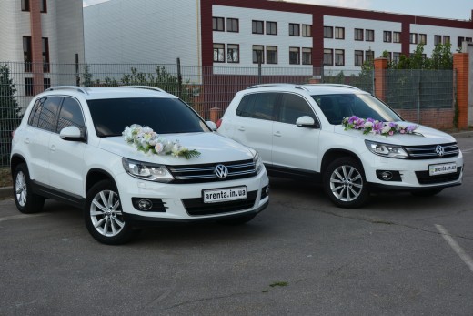 ������ ������������ Volkswagen TIGUAN �� �������