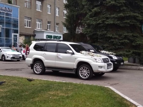 ������ ���������� ����� ������ �����