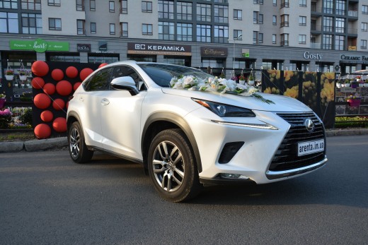 ������ Lexus NX 2019 �� ������� � ��������